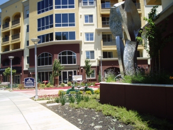 gallery of commercial glass projects in Solano County