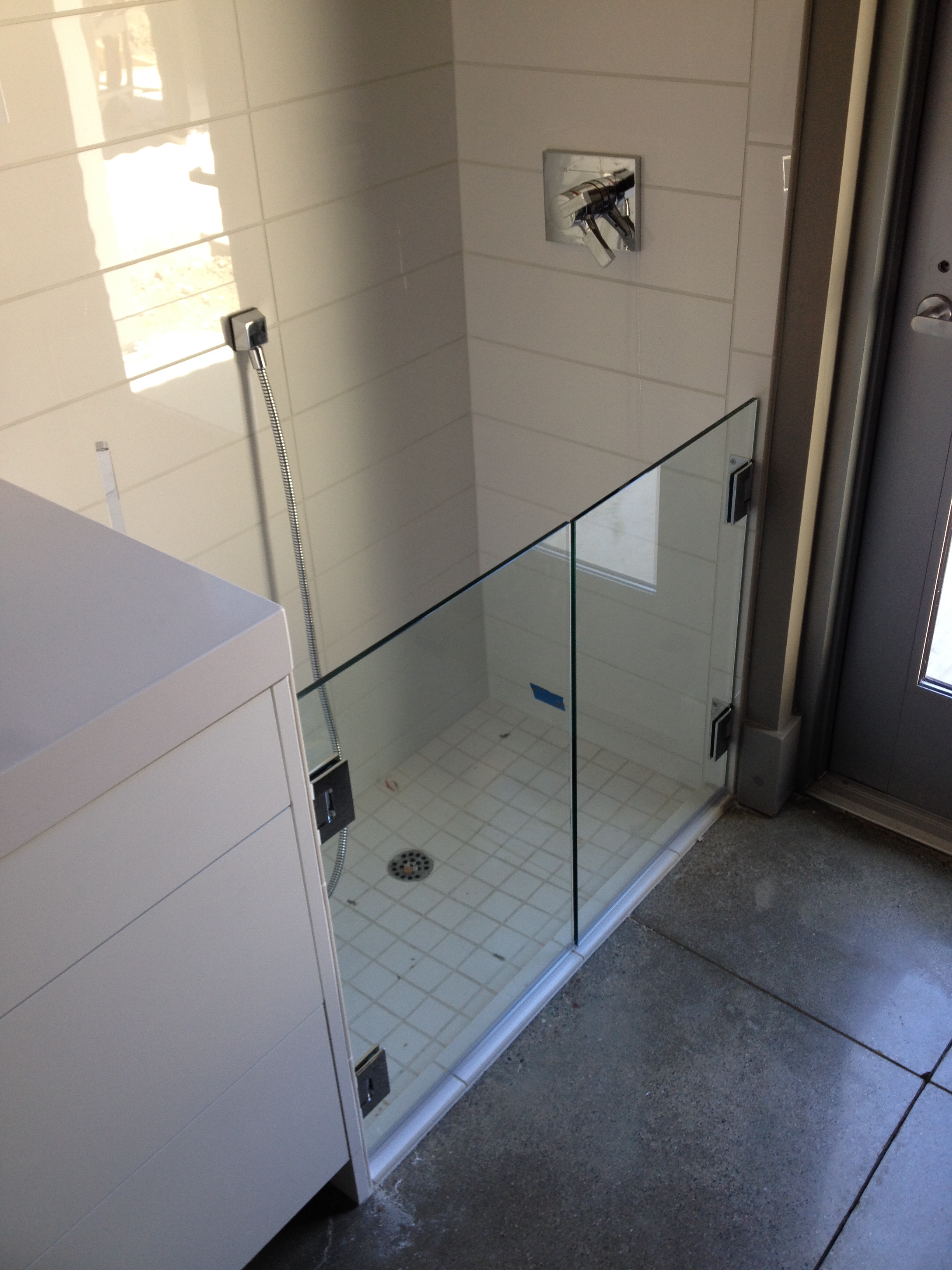 dog glass shower